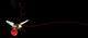 Naan E(Eega) is a must watch- Visitor Review