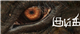 Prabhu Solomon's Kumki Review 