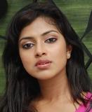 Jayam Ravi and Amala Paul to pair up?