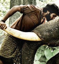 Kamal to launch Kumki audio