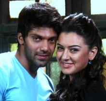 Arya's 'Settai' in full swing
