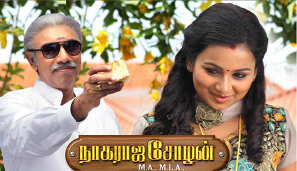 Sathyaraj in Nagaraja Cholan MA MLA