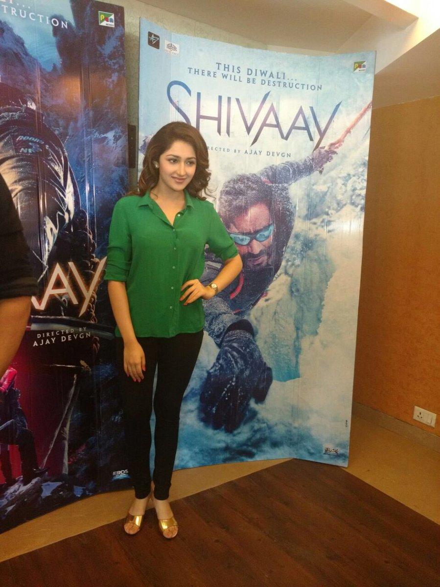 Shivaay Picture Gallery