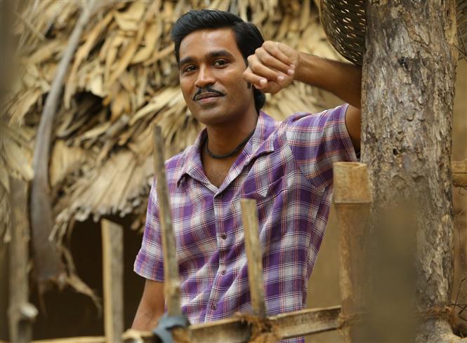 Asuran's overall business touches Rs 100 cr mark!
