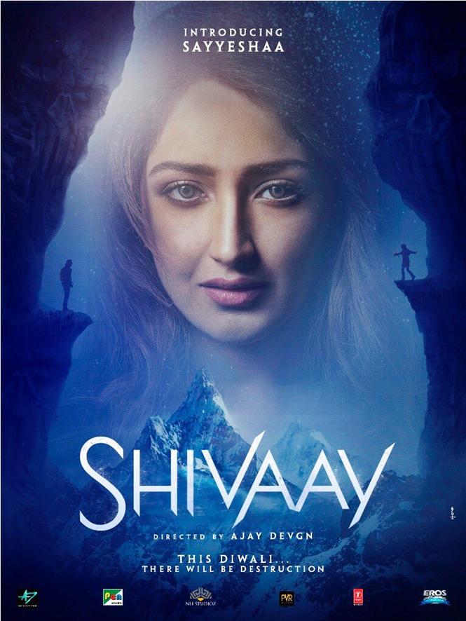 First Look of Sayyeshaa's from Shivaay.