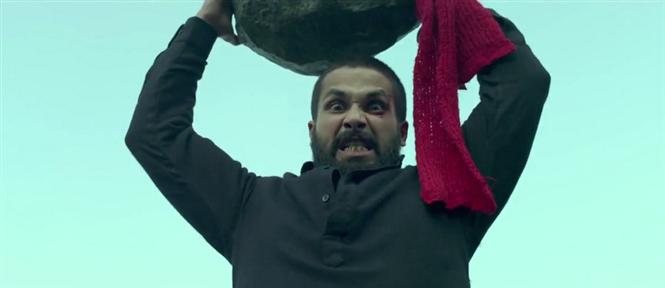 Haider Day 13 Box Office Collection