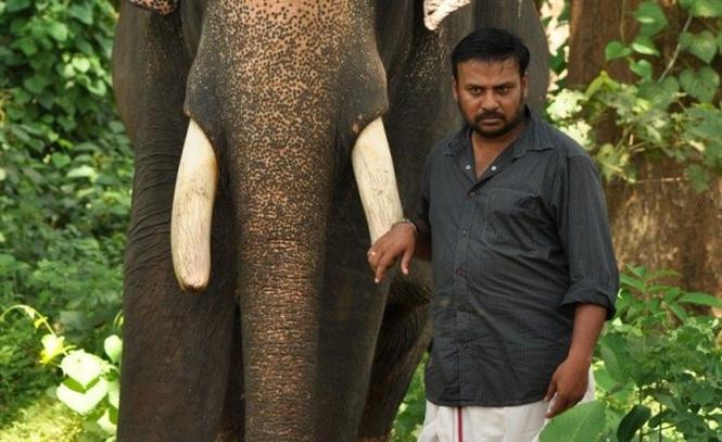 Kumki 2 is based on yesteryear Bollywood Film?