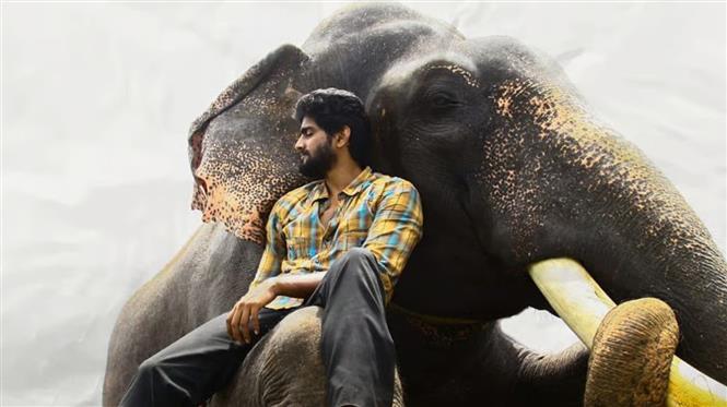 KUMKI 2 Review - Tiresome Watch and a Disgraceful Successor!