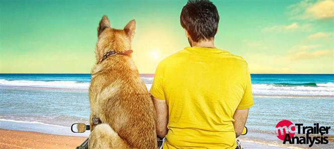 Naaigal Jaakirathai Trailer Analysis Tamil Movie, Music Reviews and News