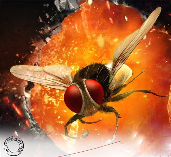 Naan Ee (Eega) completes 50 days