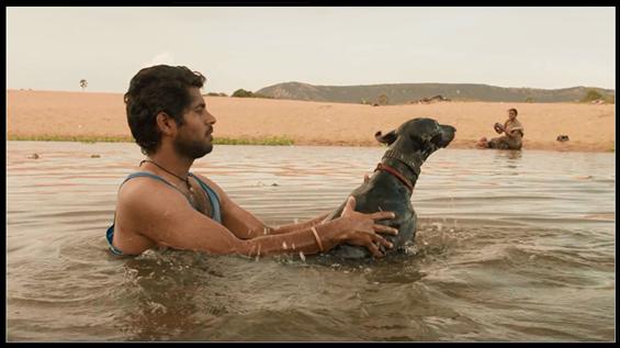 Pariyerum Perumal to be screened at Toulouse Indian Film Festival