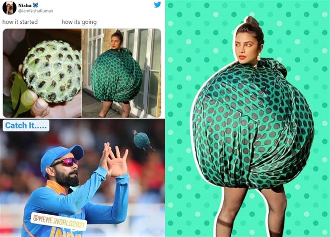 Priyanka Chopra finds her green ball gown memes 'too funny'!