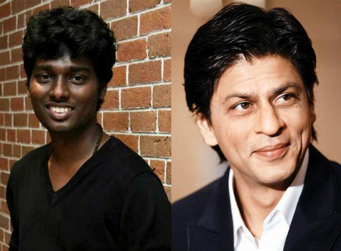 SRK-Atlee waits for Salman Khan Producer's green signal? 	