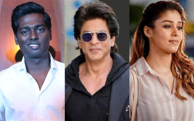 SRK to resume Atlee film this month! Agent role for Nayanthara!