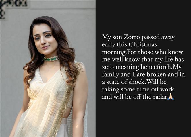 Trisha announces time off work in lieu of her pet's death