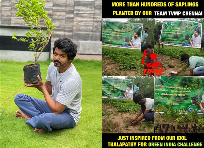 Vijay fans take the Green India Challenge by planting 100 saplings!