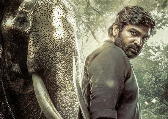 Vijay Sethupathi's Kaattan Set for January 2026 Pr...