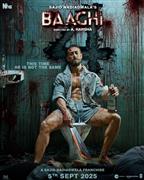 Baaghi 4