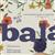 Balan: The Boy