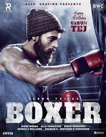 Boxer