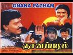 Gnanapazham