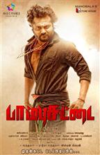 Paambu Sattai 