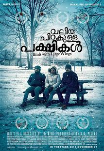 Valiya Chirakulla Pakshikal