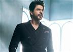 SRK Dwarf movie