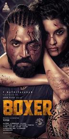 Boxer