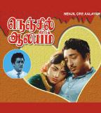 Nenjil Oru Alayam