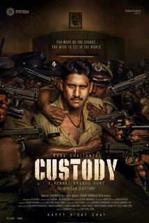 Custody - Movie Poster