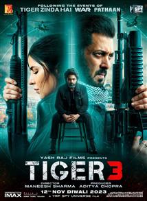 Tiger 3 - Movie Poster